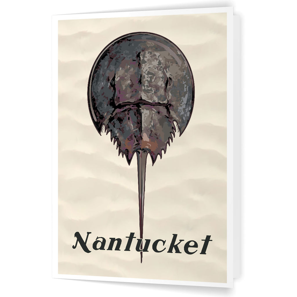 Nantucket Horseshoe Crab 5 x 7 Greeting Card