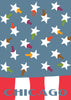 Chicago Summer Flag Magnet