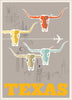 Texas Longhorns Poster