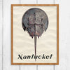 Nantucket Horseshoe Crab Print