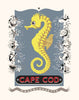 Cape Cod Seahorse Magnet