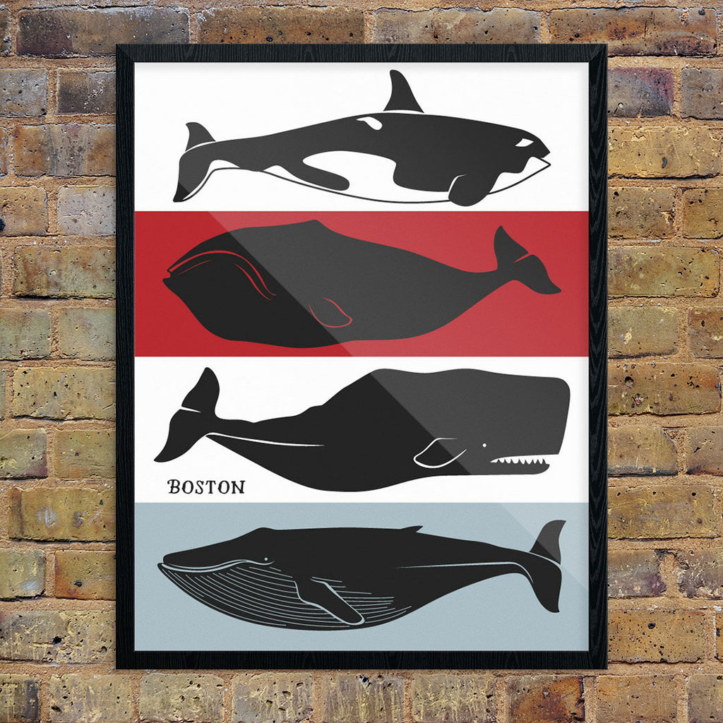 Boston Whales 11 x 14 Print